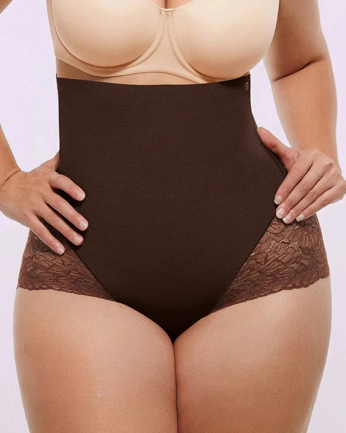 Bare Essentials™ MeshSmooth™ High - Waisted Sheer Lace Brief - HerShape Bra
